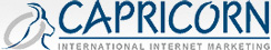 Netcapricorn Logo